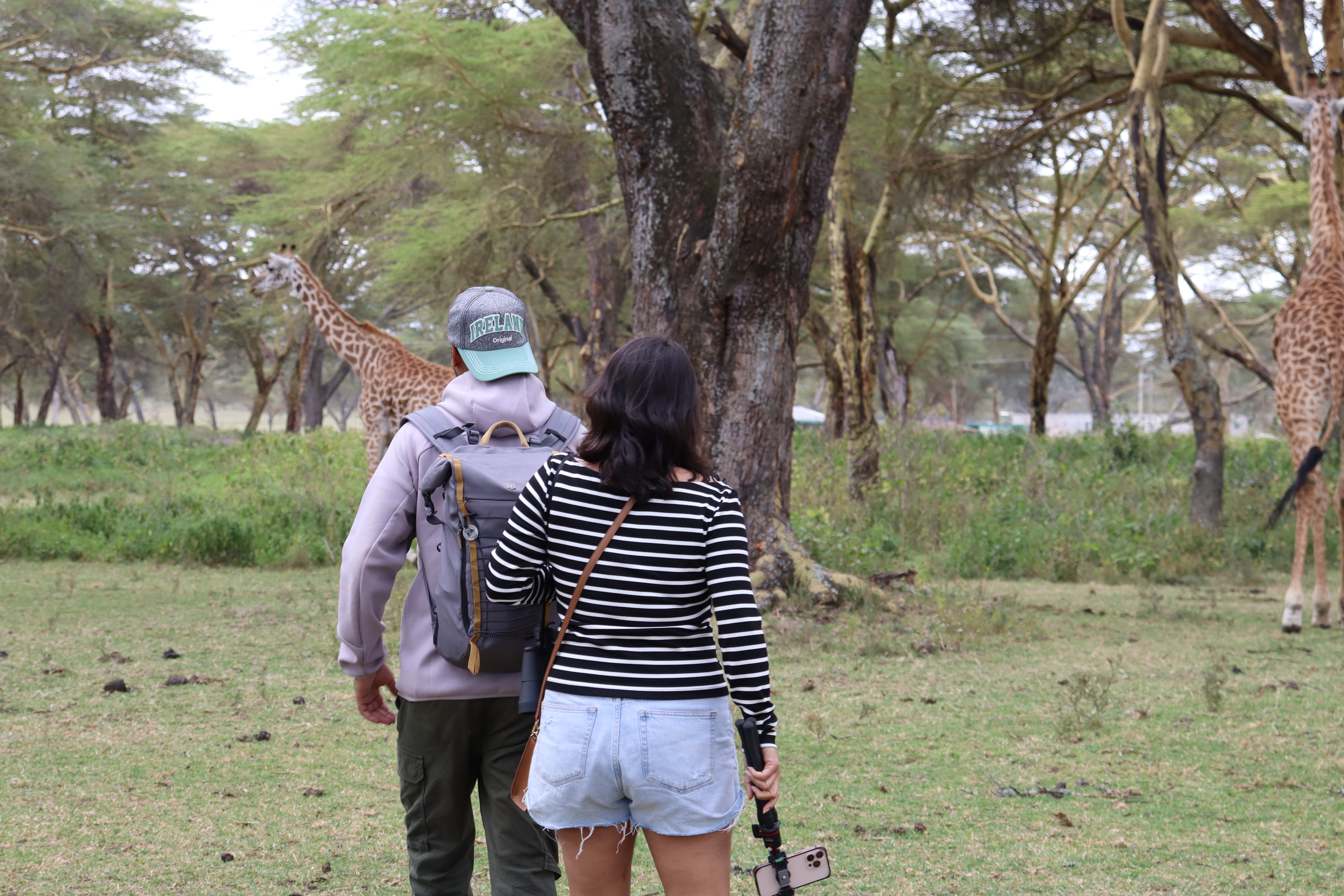 Walking Safari