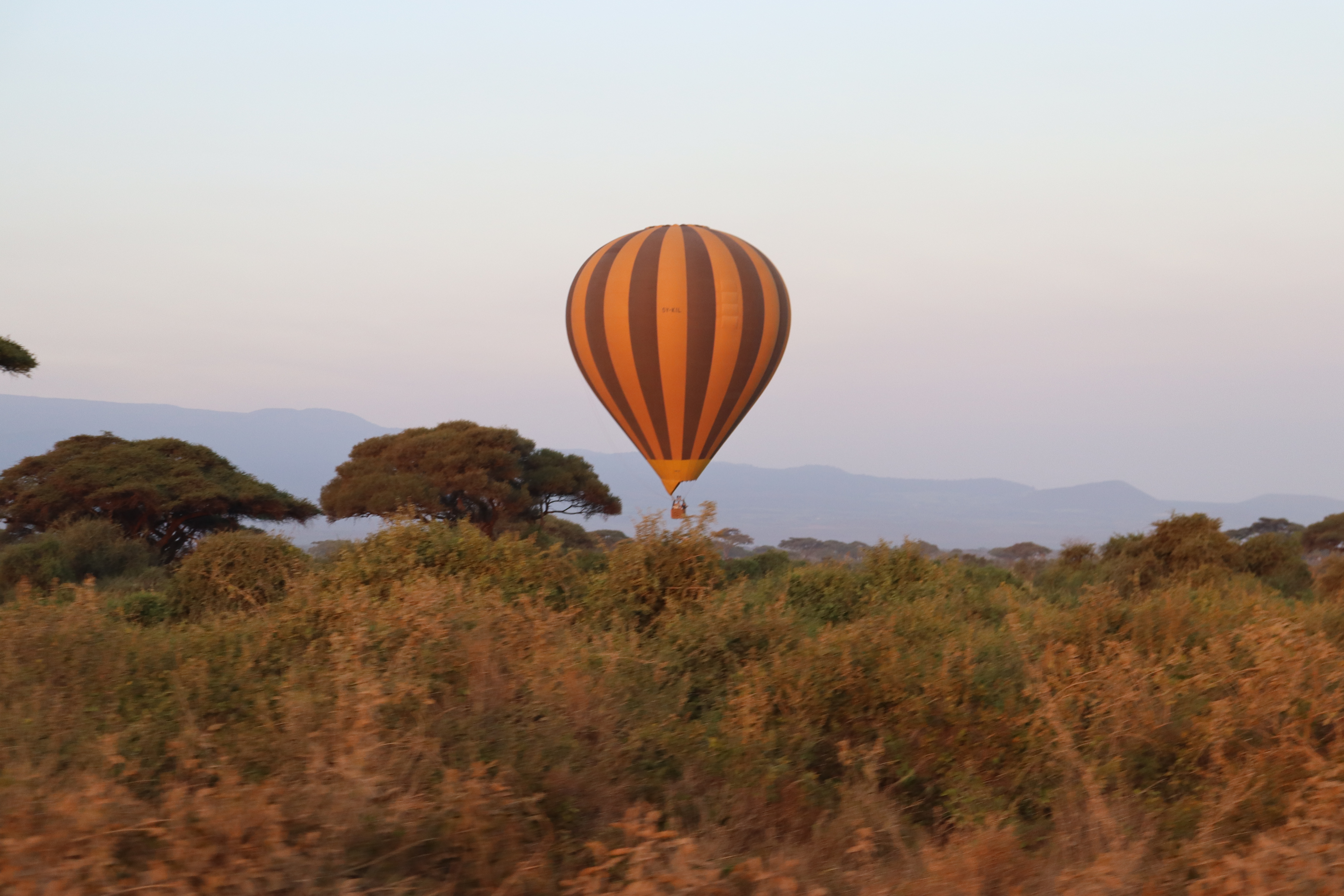 Hot Air Balloon Safari