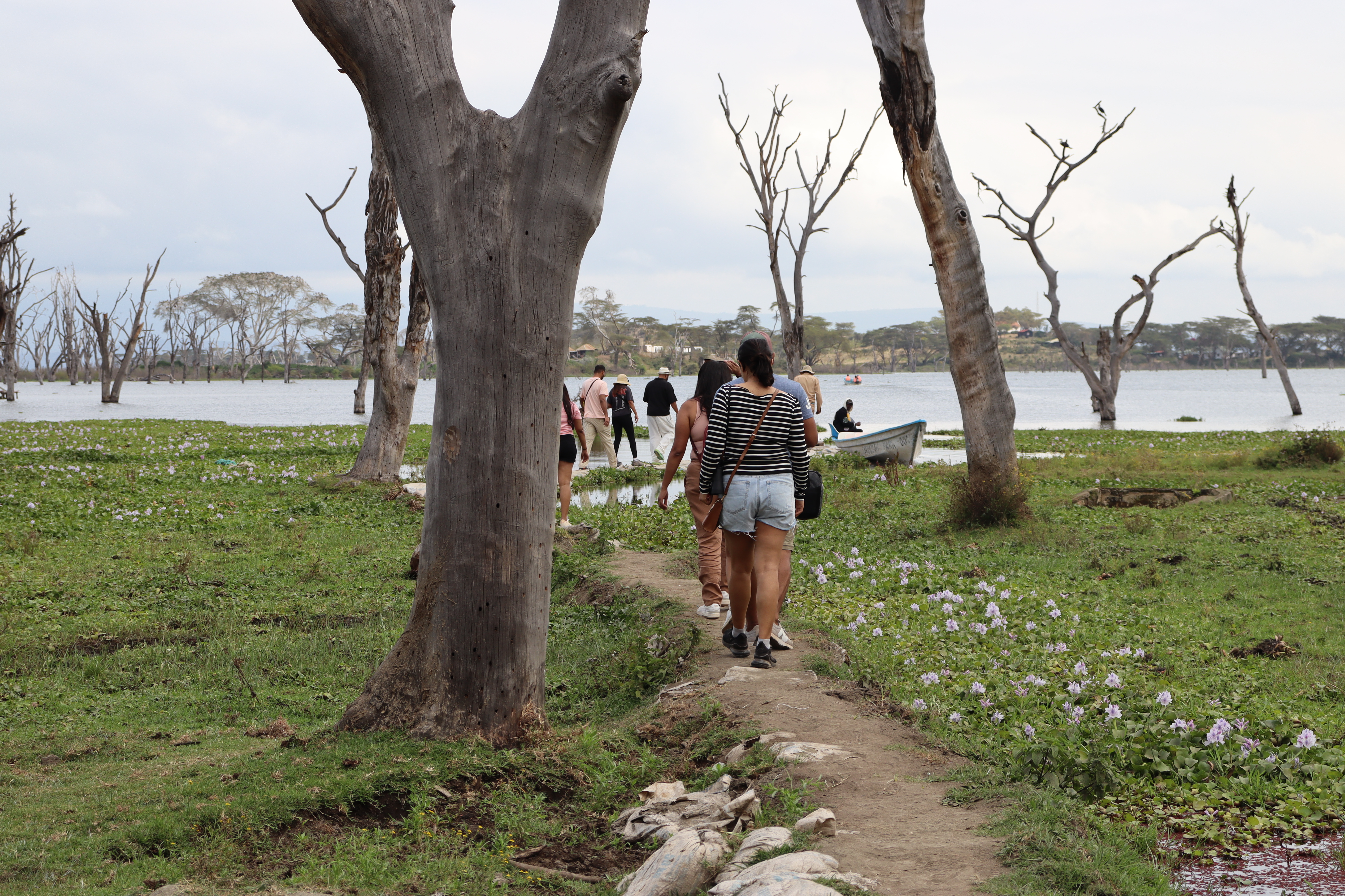 Walking Safari