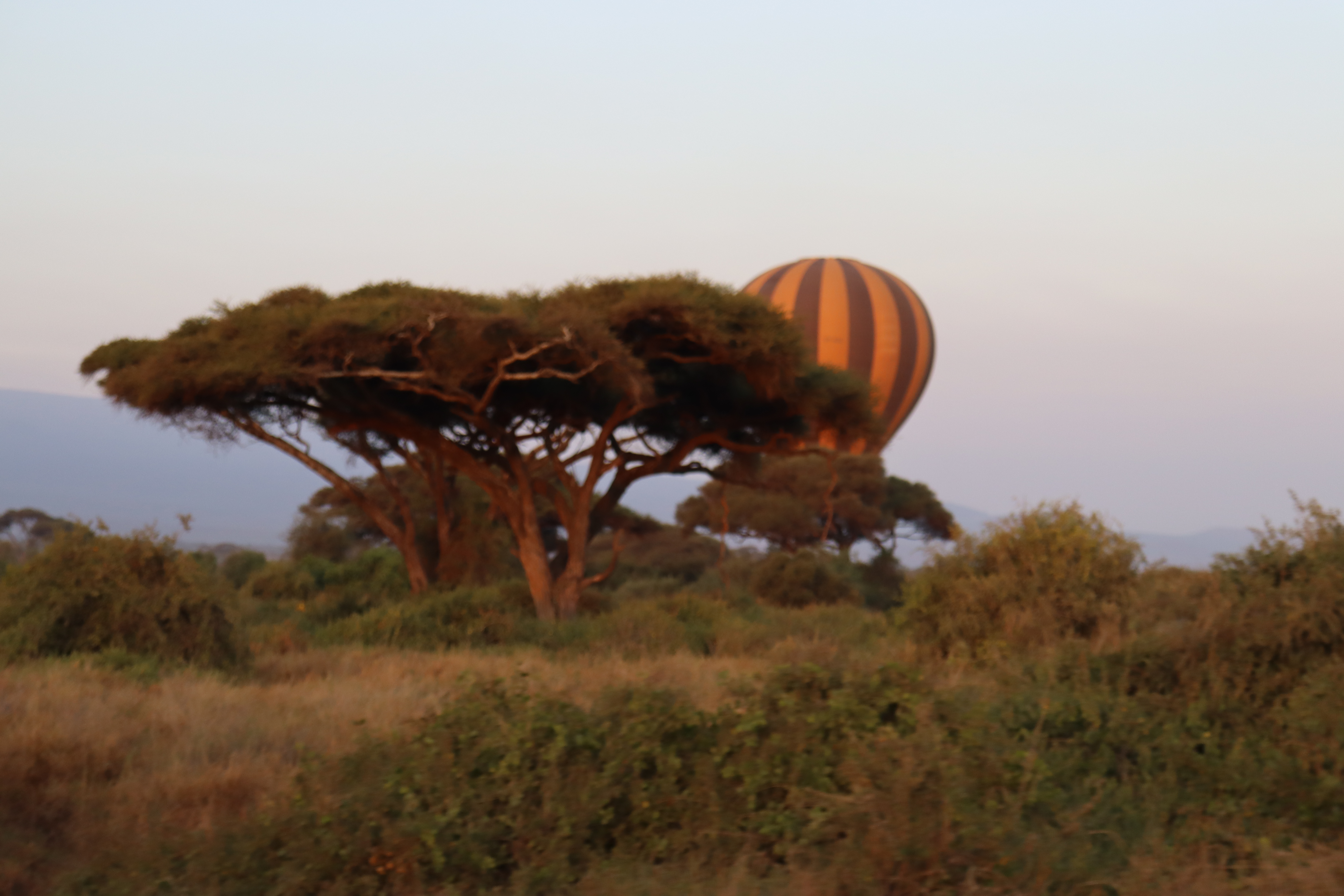Hot Air Balloon Safari